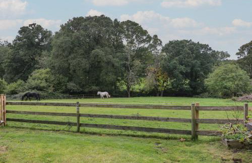 Brook Farm - Foto 42