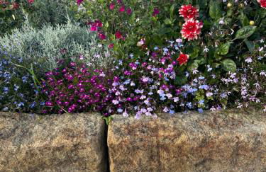 High Shilford Barn - Foto 39