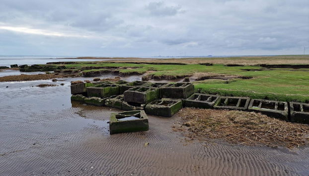 4 Person Holiday Home in Bramming-by Traum - Foto 5