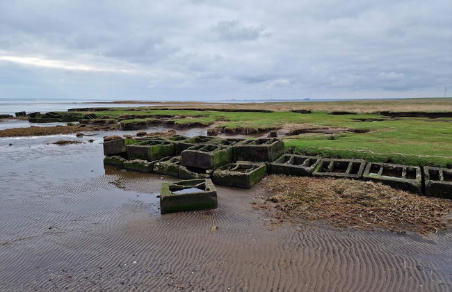 4 Person Holiday Home in Bramming-by Traum - Foto 5