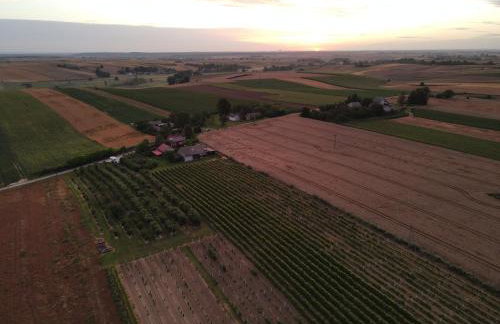 Domki w Winnicy - Świętokrzyska Winnica Knapów - Foto 22