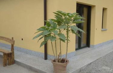 Azienda agrituristica Scotti - Foto 8