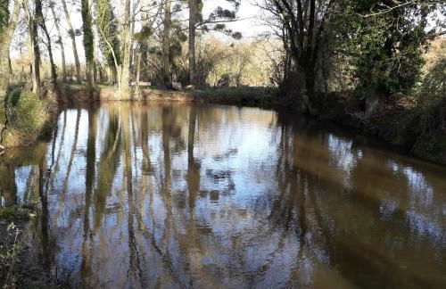 La petite Hugrie - Photo 32