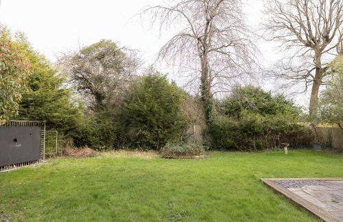 Ping-Pong Paradise - Foto 63