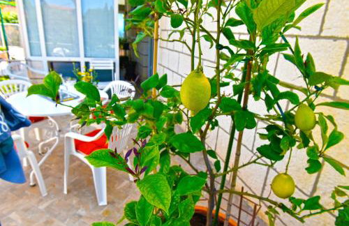 Apartment Ljubica Dubrovnik Center - Foto 10