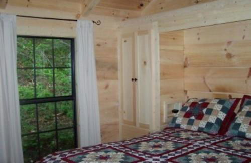 Cabin in the Woods-Peaceful 1BR 20-Acre Rural Retreat-HotTub&WiFi near Asheville - Foto 6