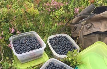 Ferienwohnung Stremme - Foto 15