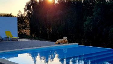 Herdade Monte Novo Do Pocinho - Foto 2