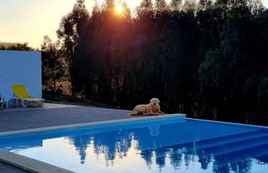 Herdade Monte Novo Do Pocinho - Foto 2