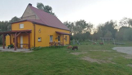 Haus 6 am Fluß - Foto 3