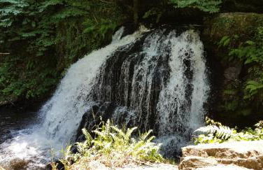 Gîte de France Chez baptiste 3 épis - Gîte de France 7 personnes MAE-0144 - Foto 23