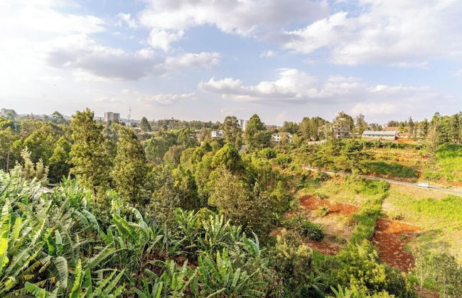 Redhill Cliff Complex - Foto 54