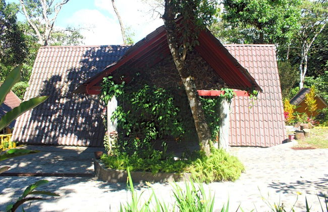 Naudy Lorena - Foto 14