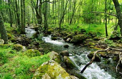 GREDOS RURALRUT cerca del CASTAÑAR de El Tiemblo, Reserva Natural VALLE DE IRUELAS, alojamiento acogedor con cabina hidromasaje, chimenea eléctrica, calefacción, wifi, cocina - Photo 12