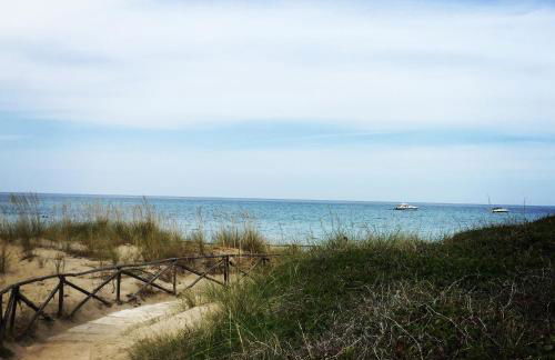 Villa sul mare Rosa Marina - Foto 42