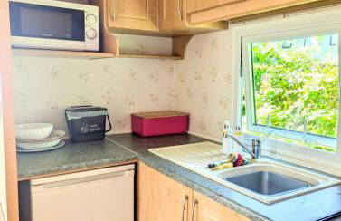 Family-Friendly Woodland Caravan Pool & Bar - Foto 7