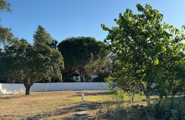 Casa dos Sobreiros - Foto 15