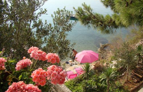 Apartman Martić - Photo 9