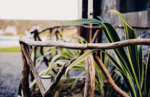 Casas do Calhau Miúdo - Seixal - Foto 6