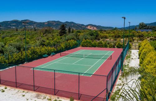 Queen Electra with pool and tennis court - Photo 43