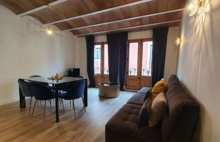 Barrio Gotico Apartments Escudellers - Foto 18