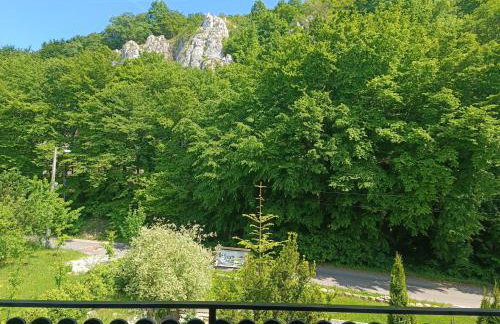 Rowerowe Wierzchowie - Foto 8