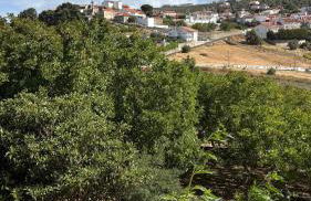 Villa Quinta Dom Reis - Foto 6