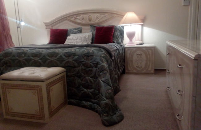 The Royal Princess Garden - Honeydew - Photo 12