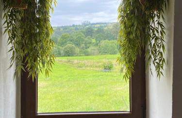 Casa Rural Valle de Altamira - Foto 34