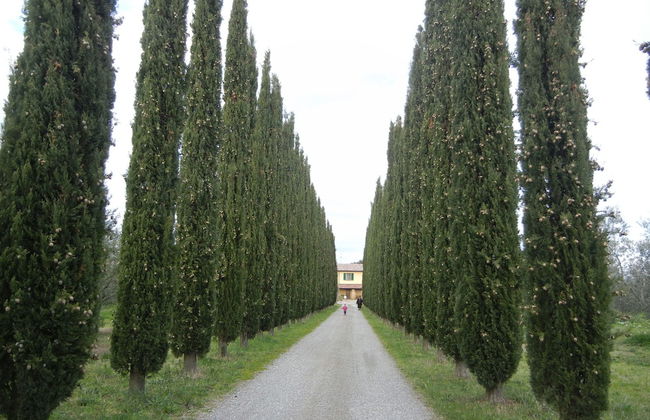 Azienda Agrituristica Le Betulle - Foto 43