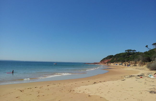 61 Redrocks Retreat - Foto 11