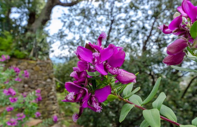 JOIVY Villa Monterosso Apartment Bellavista - Foto 58