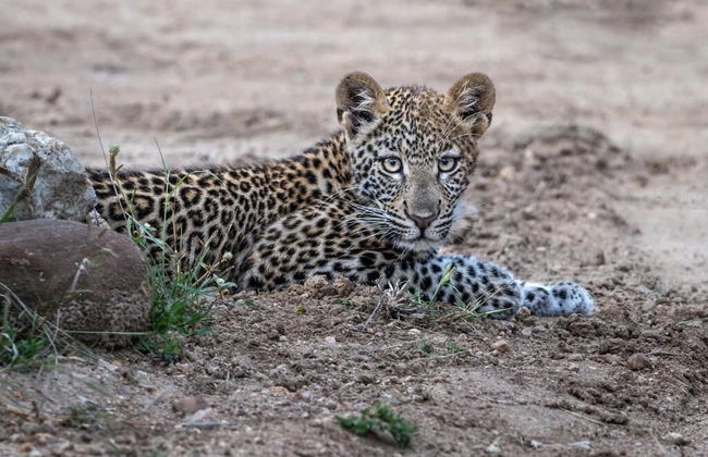 Ukanyi Luxury Villa - Foto 23