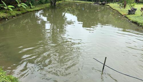 Chácara Belas Águas - Foto 5