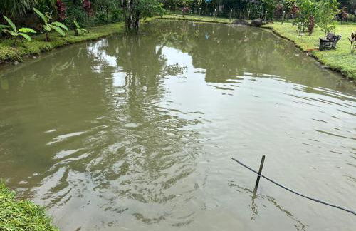 Chácara Belas Águas - Foto 5