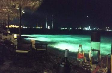 Sylvia's Village Home - Foto 31