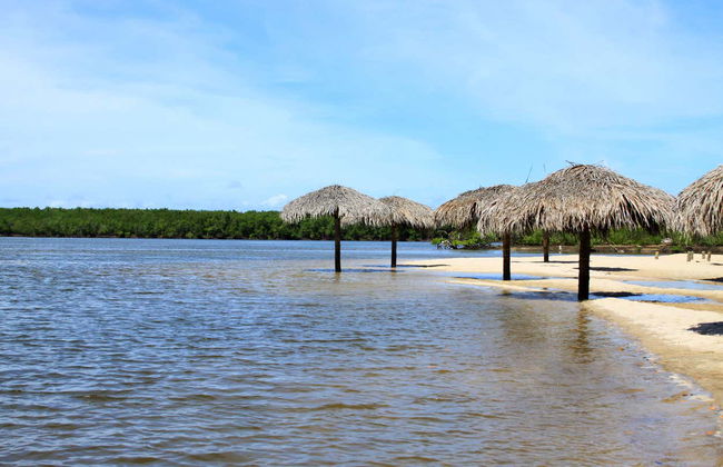 Balade en bateau vers la Crôa do Goré et l'île des Amoureux - Photo 3