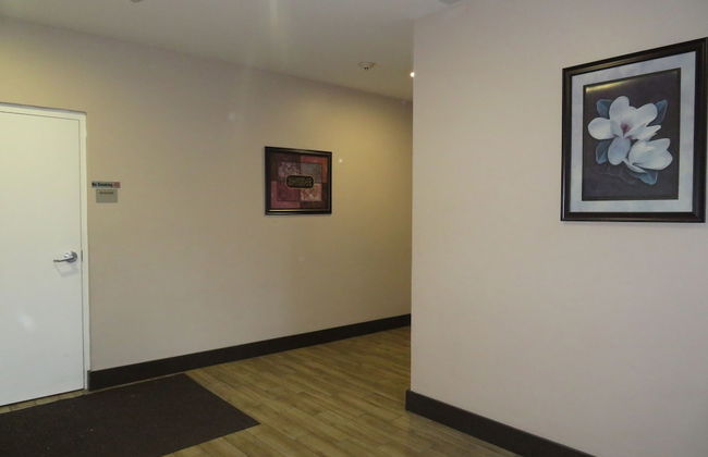 2 Bed 2 Bath in Studio City - Foto 5