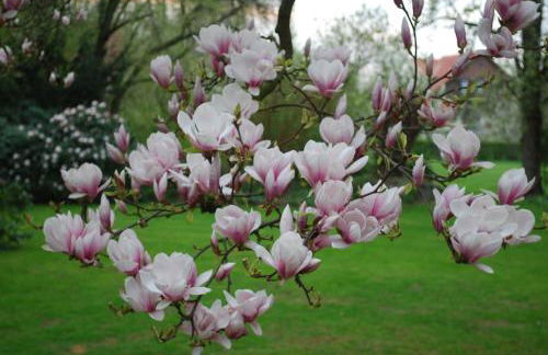 Ferienwohnung im Grünen - Hof Blohme - Foto 37