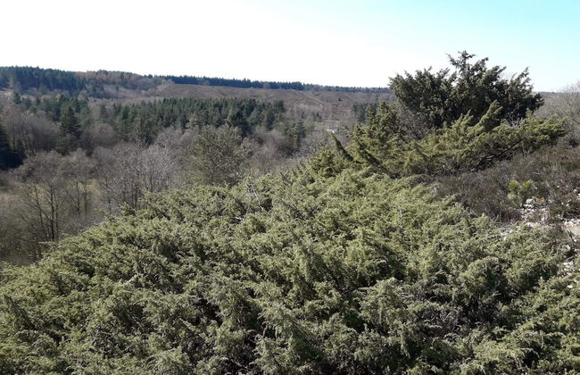 Bright Cottage Retreat in Silkeborg-by Traum - Foto 14