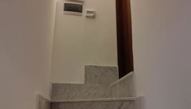 L'OLIVA CONTESA - la NERA - Foto 3