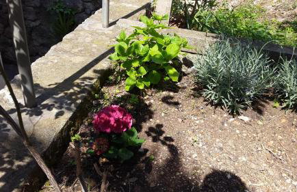 Apartment Karmen - Foto 34