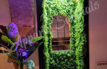 Lappart-salonais 70m2 avec jacuzzi privatif - Foto 14