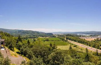 Panoramic River Views - Nature Framed in Every Window - Photo 29