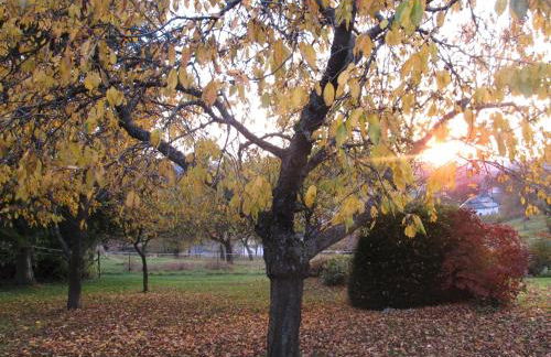 Fewo Vulkaneifel - Foto 39