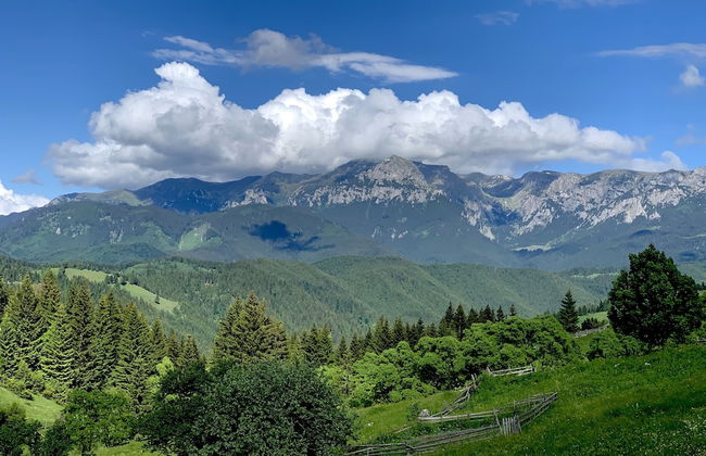 Charming Traditional House in a Pristine Location - Foto 33