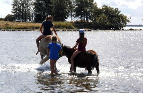 Haus am Dorfteich Kopendorf, Wohnung 2 - Foto 22
