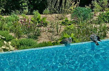 Azur Blue Villa; Rural Peace with private pool - Foto 17