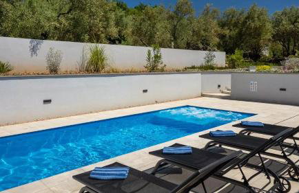 Luxury Villa Subventus - Photo 14