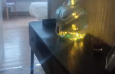 Doctor Gasalla - Foto 10